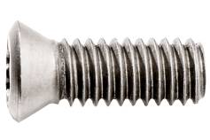 10 Fixing screws for indexable inserts (623566000) 