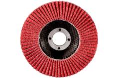 Lamellenschleifteller 125 mm P 60, FS-CER (626170000) 
